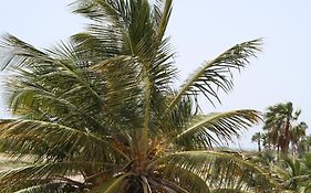 Karibu Aruba Boutique Hotel